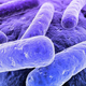 Illustration for article titled A Medieval Recipe Could Kill Hospital Superbugs. No, Really.
